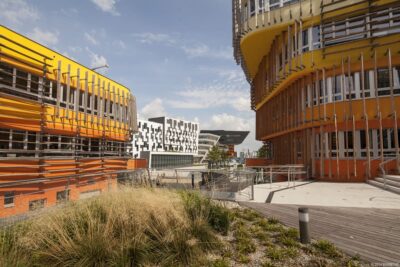 Віденський економічний університет