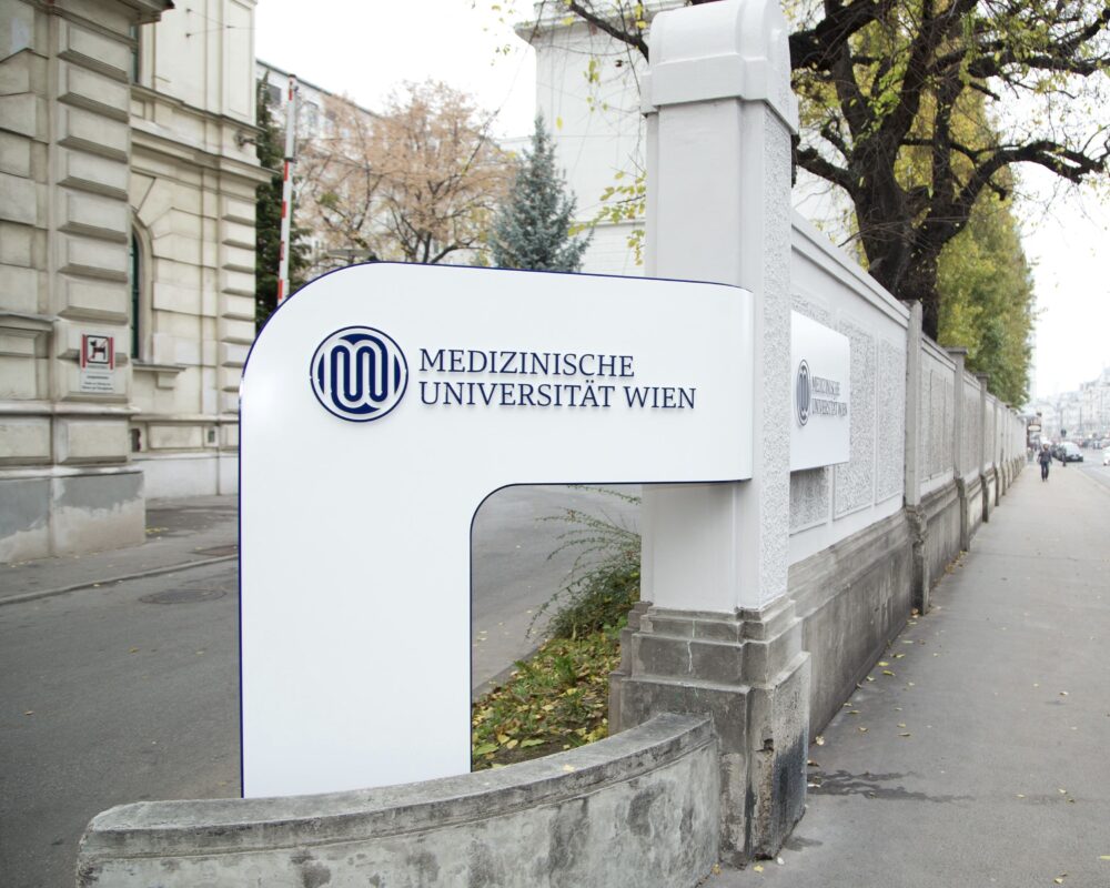Медичний університет Відня Study Roads Медичний університет Відня