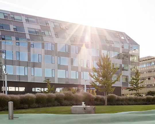 Sigmund Freud University Study Roads